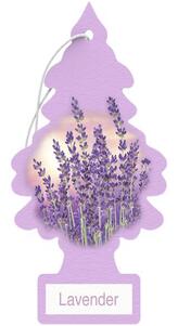 11 Pino Lavender (Lavanda)